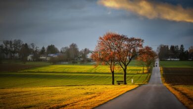 Landkreis Nordwestmecklenburg - Tödlicher Unfall mit Polizeiauto - Panorama