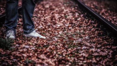 Frau & Kinder tot in Teupitzer See – Polizei Cottbus ermittelt