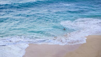 Umfrage: Die meisten Urlauber kommen gut erholt zurück