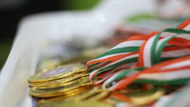 Döbeln: Wer erhält die Verdienstmedaille des Landkreises Mittelsachsen?