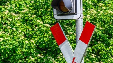 Mecklenburg-Vorpommern: Landeswild- und Fischtage: Verkehrseinschränkungen in Ludwigslust