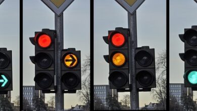 Landeswild- und Fischtage: Verkehrseinschränkungen in Ludwigslust | NDR.de - Nachrichten - Mecklenburg-Vorpommern