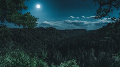 Mondschau am Morgenhimmel: Doppelphänomen am Himmel: Vollmond mit partieller Finsternis - Wissen