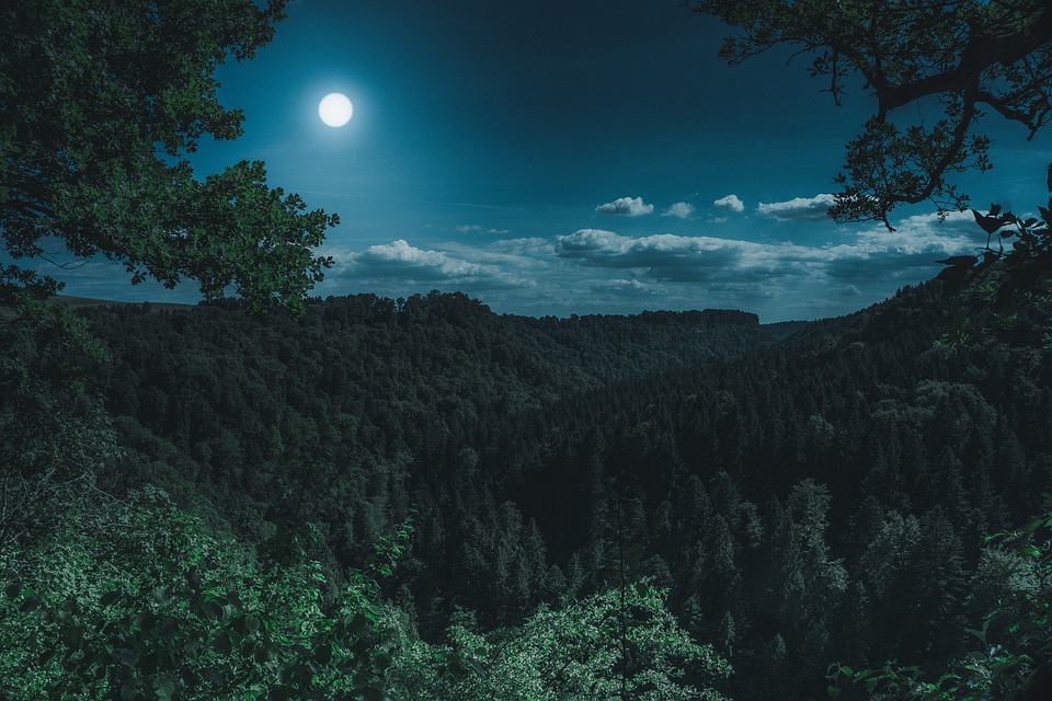 Mondschau am Morgenhimmel: Doppelphänomen am Himmel: Vollmond mit partieller Finsternis - Wissen