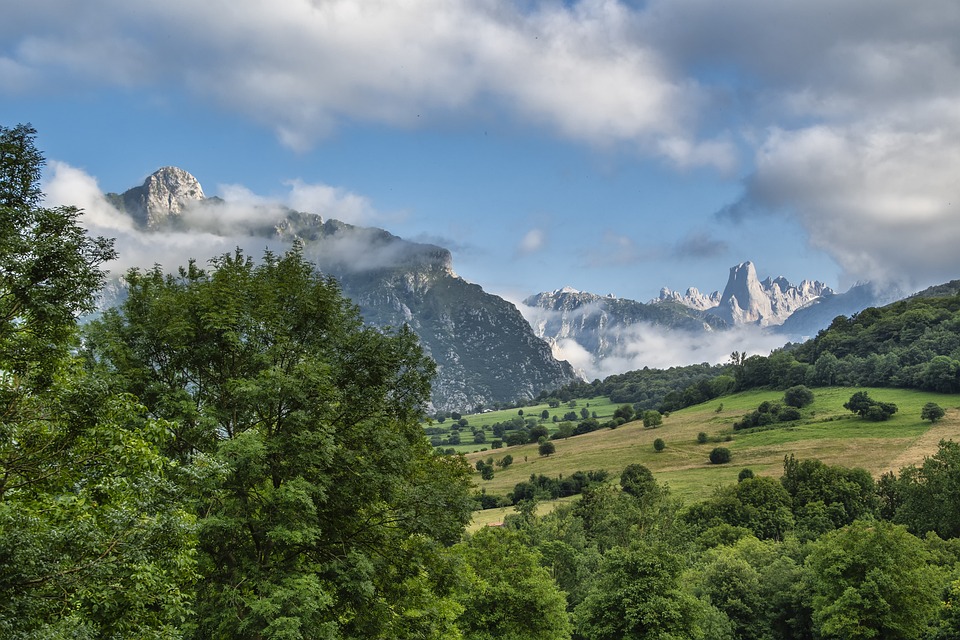 „Unsere Wälder können sich selbst helfen“