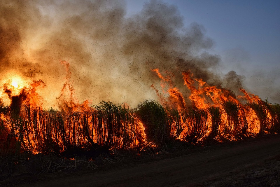 Verheerende Waldbrände gehen in Portugal weiter