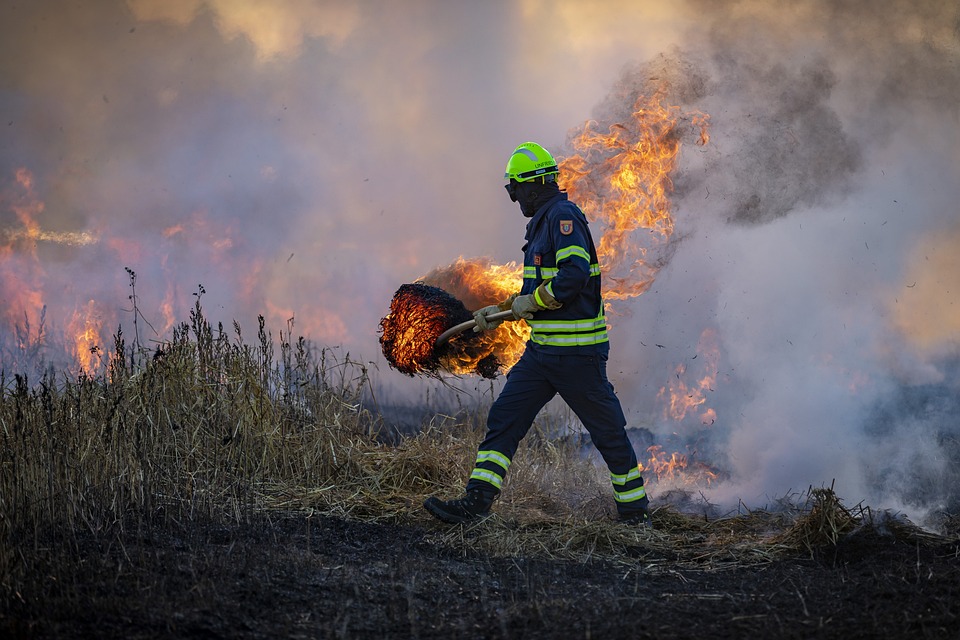 Verheerende Waldbrände gehen in Portugal weiter