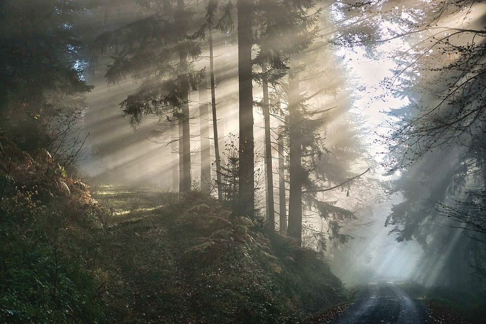 Nach Waldbrand auf dem Brocken im Harz: Polizei fahndet nach zwei Wanderern | NDR.de - Nachrichten