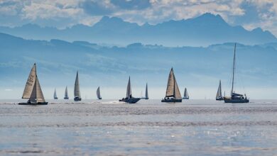 Die 60. Waldseer Regatta: Heute der zweite Tag