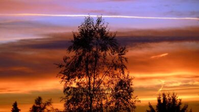 In der Nacht über den Mittelgebirgen Schauer, sonst meist trocken