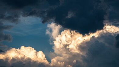 Wetter - Nachts in Bayern abklingender Regen - sonst meist trocken