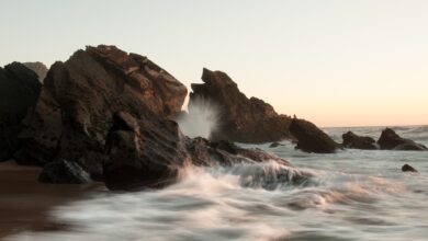 Hoffnungsschimmer bei Waldbränden in Portugal