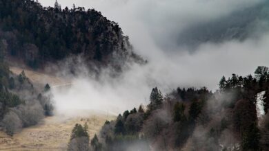 Mit Motorsäge und Schneeschaufel: Berghütten versinken im Schnee