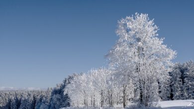 Fotos zeigen Winter-Einbruch in zahlreichen Regionen