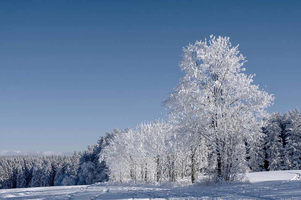 Fotos zeigen Winter-Einbruch in zahlreichen Regionen