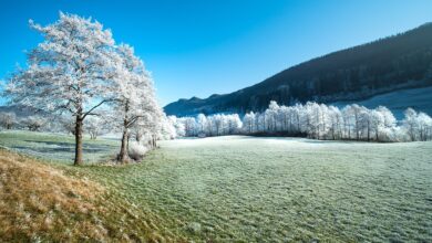 Autofahrer aufgepasst: Neue Regeln für Winterreifen ab 1. Oktober