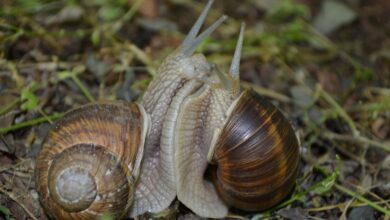 Es steht schlecht um den Wormser Haushalt