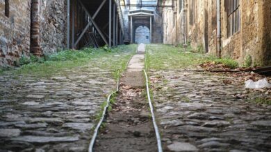 IT-Störung: Regional- und S-Bahnverkehr steht still - Rheinland-Pfalz