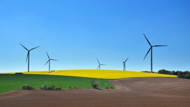 „Grüne Hausnummer“-Verleihung und Blick hinter die Kulissen