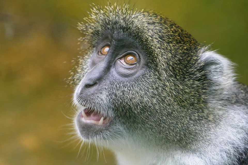 Zoo Leipzig: Große Aufregung! Mitarbeiter traut seinen Augen kaum – „Was ist das?“