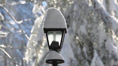 Briefe kommen verspätet oder gar nicht an