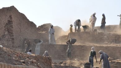 Harz: Archäologen machen besondere Entdeckung – "Eindrucksvolle Qualität"