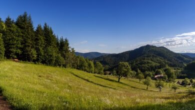 News für den Schwarzwald-Baar-Kreis am 19.10.2024: Die aktuellen Nachrichten für Ihren Landkreis im Überblick