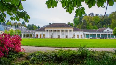 Respektabler Satzgewinn beim Tabellenführer – BADEN VOLLEYS unterliegen in Lüneburg – abseits-ka