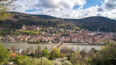 Ausbau von Regiobuslinien schreitet voran - Baden-Württemberg