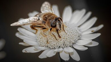 Biowetter in Oberhausen heute: Welche Wetter-Beschwerden aktuell zu erwarten sind