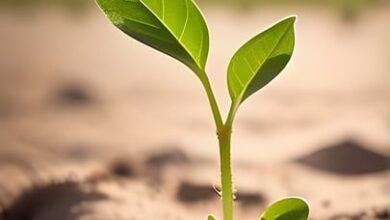 Cannabis-Razzia im V-Markt! Staatsanwaltschaft ermittelt