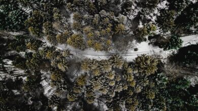 ICE kollidiert in Thüringen mit einer Drohne