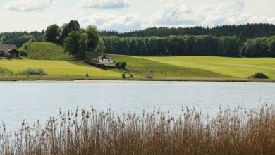 Ebersberg bleibt auf Luxusgrundstücken sitzen Einheimischenbauland Hörmannsdorf