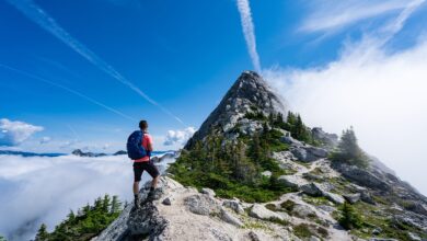 5 atemberaubende Wanderwege in Rheinland-Pfalz entdecken