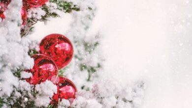 Starttermine von fünf der schönsten Weihnachtsmärkte in Rheinland-Pfalz