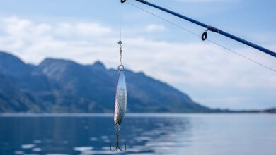 Abfischen am Schadebachteich am 26. und 27.10.2024 an der B2