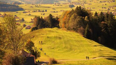 Goldener Herbst am Gardasee | regio-aktuell24