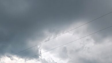 Viele Wolken und Regen – Gewitter möglich