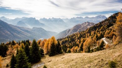 Nach warmer Herbst-Düse: Temperatur-Sturz in Niedersachsen kommt