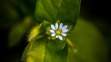 Freizeit-Tipps für die Herbstferien im Naturpark – Newsallianz Schweinfurt – Redaktionsnetzwerk