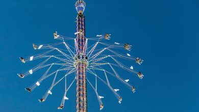 Großes Kinderprogramm und Trödelmarkt - was am Sonntag in Winnenden los ist - Nachrichten aus Winnenden