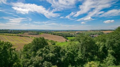 Milde Temperaturen und Nebel zum Wochenstart in Hessen