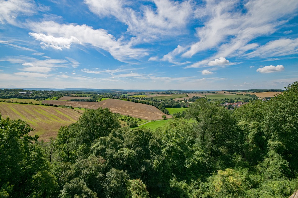 Milde Temperaturen und Nebel zum Wochenstart in Hessen