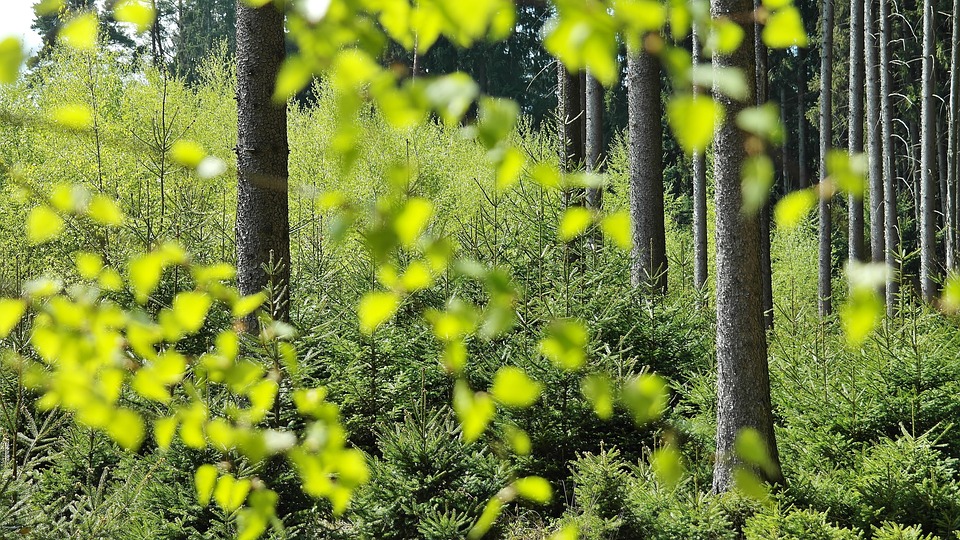 Unterlagen für den Bauausschuss im Ratsinfosystem