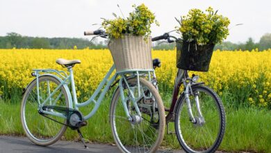 Stressenhausen: 14-Jähriger baut mit Moped schweren Unfall - Hildburghausen