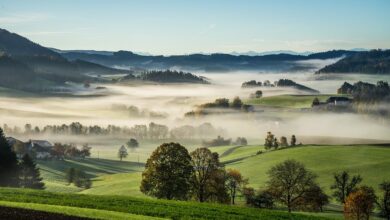 Eine Tageskulturfahrt ins Saarland - Kreis Mayen-Koblenz