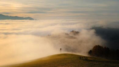 Wetter heute in Ulm: Wetterdienst warnt vor Nebel! Temperaturen und Niederschlag im Tagesverlauf