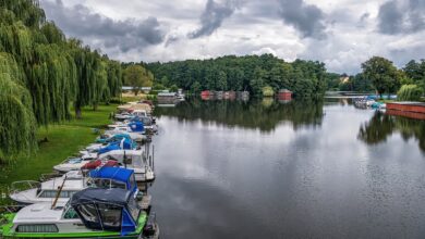 Geplanter Bau eines Lebensmittelmarktes löst nicht nur Jubel aus