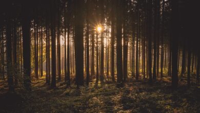 Hier eröffnet bald ein neuer Kindergarten