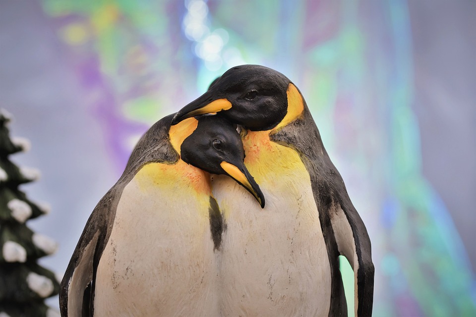 Das bundesweit einzige Pinguin-Museum schließt